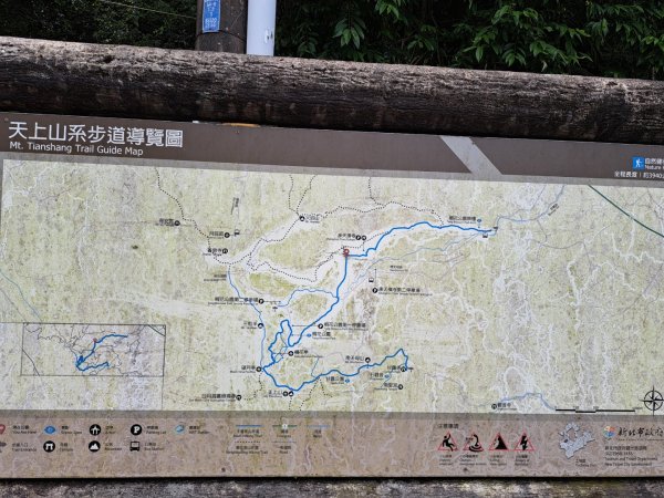 2026微笑山線望月亭桐花段3103854