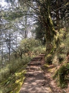 1130306大塔山步道2696749