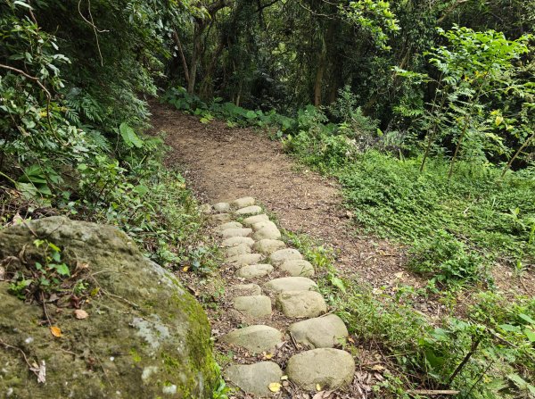 [微笑山線_第三段] 2026_0725 新北桃園登山步道_大湖之森步道3101675