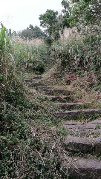 七星山主峰、東峰之行408961