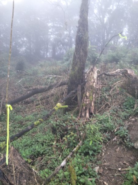 小百岳:初音山1609926