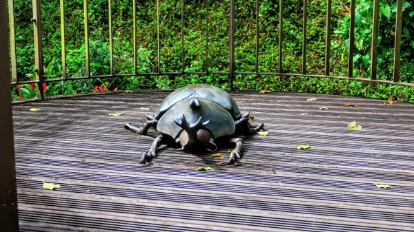 知本森林遊樂區3015071