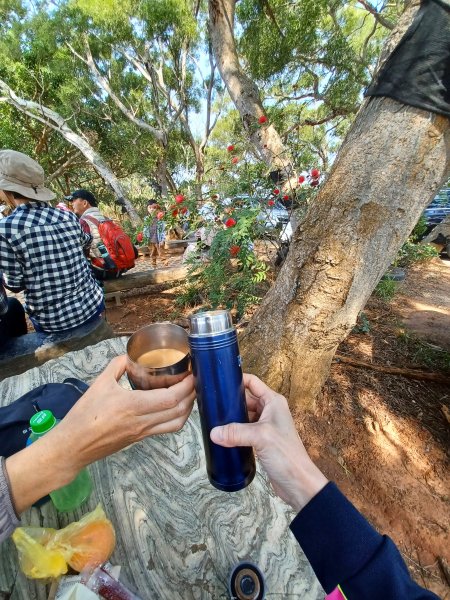 【台中大肚】綠蔭成徑。 大肚萬里長城步道O繞2790782