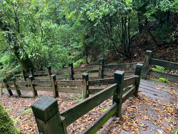 新竹 五峰 觀霧國家森林遊樂區 觀霧瀑布步道+賞鳥步道2811428