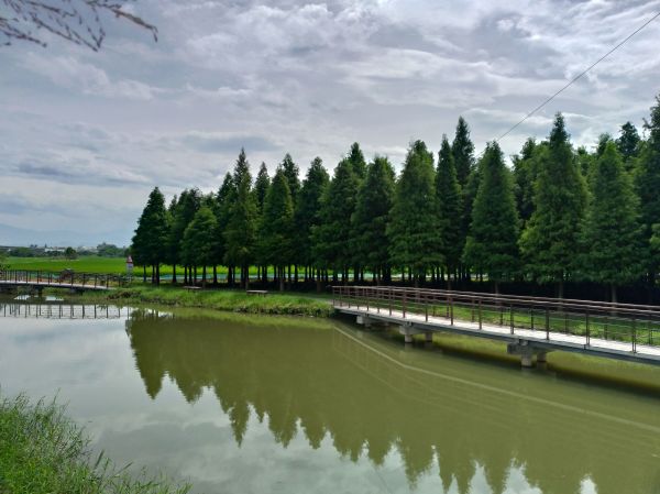 菁埔埤濕地步道406871