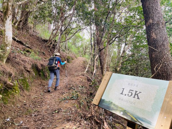 1140824司馬庫斯觀霸步道-賞楓步道2871111