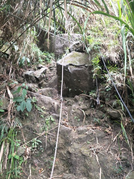 2019 10 29 三腳南山登山步道717763