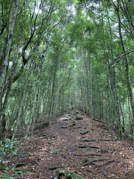 波津加山1084851