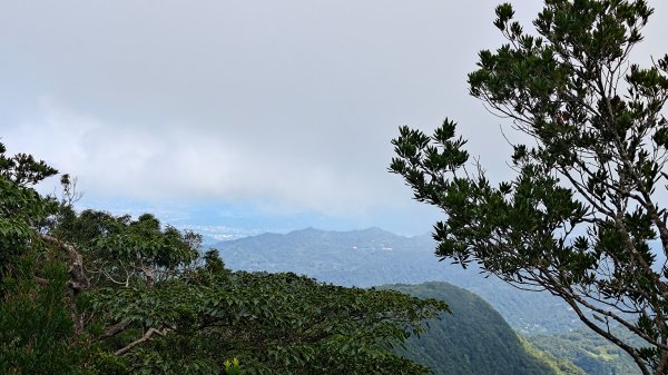 東眼山3107281