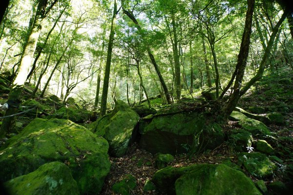 台中 和平 鳶嘴山2926901