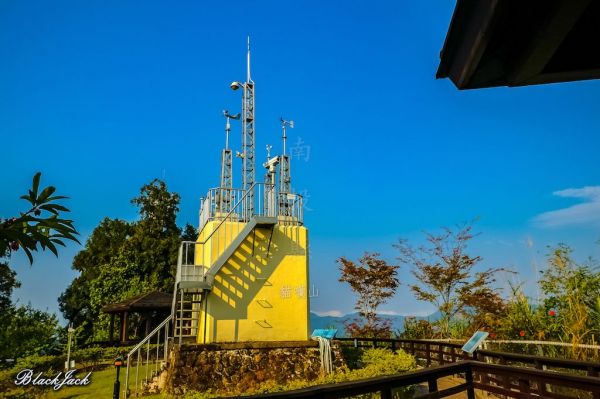 貓囒山自然步道293507