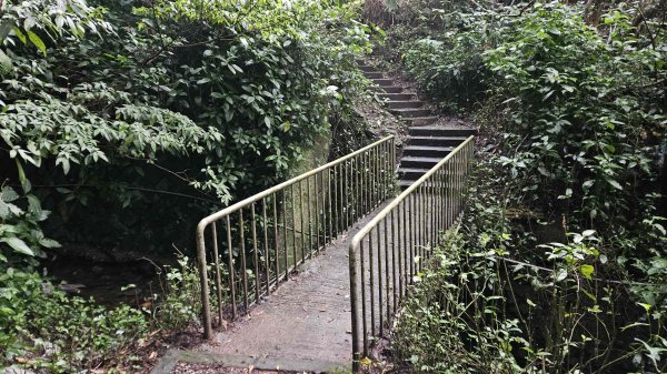 20251127菁苗步道-紅樓秘境-環七星步道O型2947315