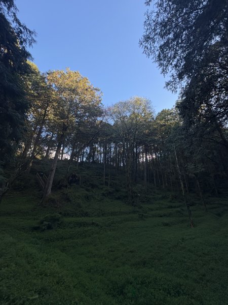 20251225塔山步道(大塔山)2970284