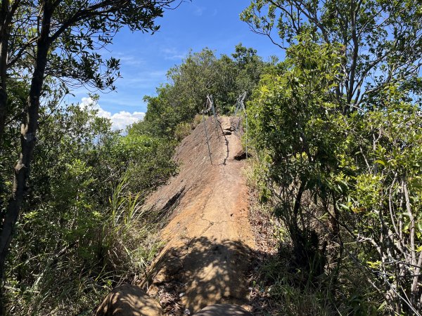 [微笑山線_第九段] 2025_0914 二格山系_天王峰2889625