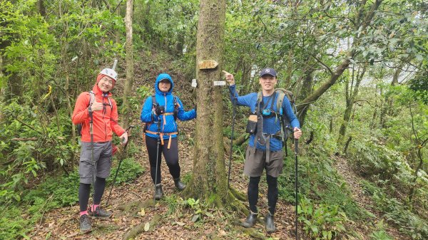 峰頭尖~峰頭尖東峰2761350
