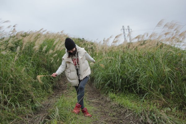 三角埔頂山尋芒草尾巴1234579