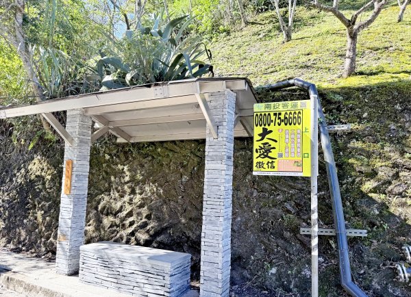 南投仁愛鄉基石巡禮-櫻櫻峰東北峰.清境山.岬山.關頭山北峰  2024.11.112651665