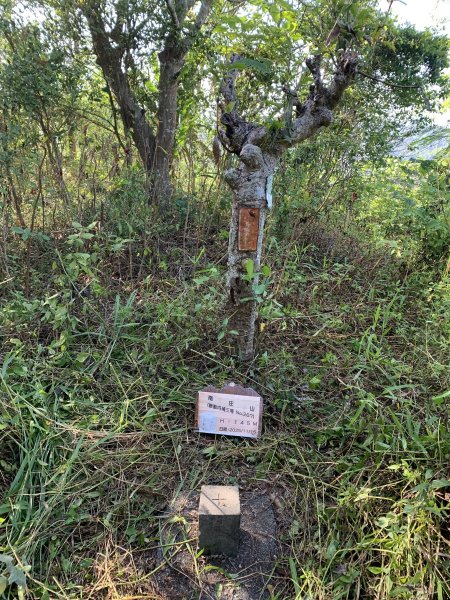 20251115台南南庄山2938071