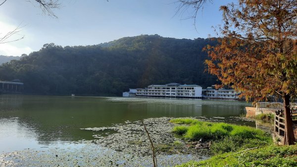 《南投》與天敖翔｜鯉魚潭環潭步道與虎頭山眺埔里城鎮美景202201081575909