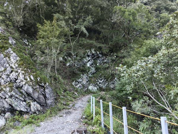 [玉山尋寶任務-07/12] 2025_0824 八通關雲龍瀑布步道2870491