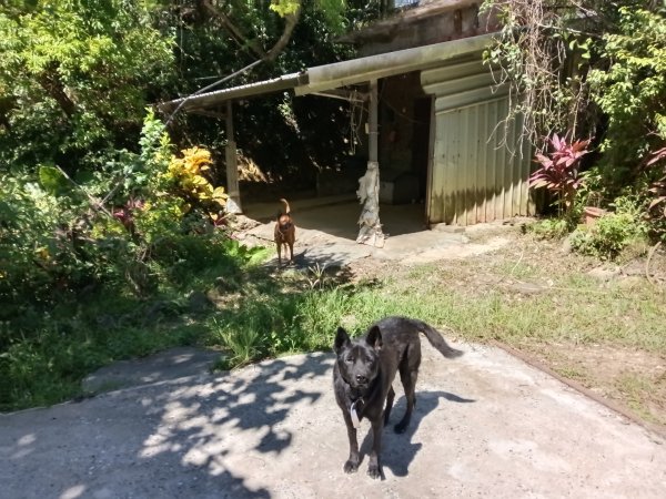 基隆市外西勢坑山+暖暖砲台+福基煤礦遺址O型2907969