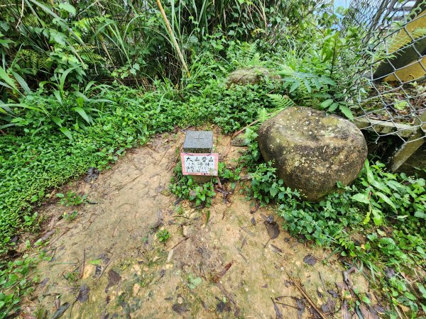 20250427大山背山田寮山毬子山騎龍山2933636