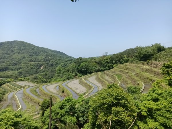 石門區嵩山百年水梯田鳶尾花祭+阡陌步道2763522