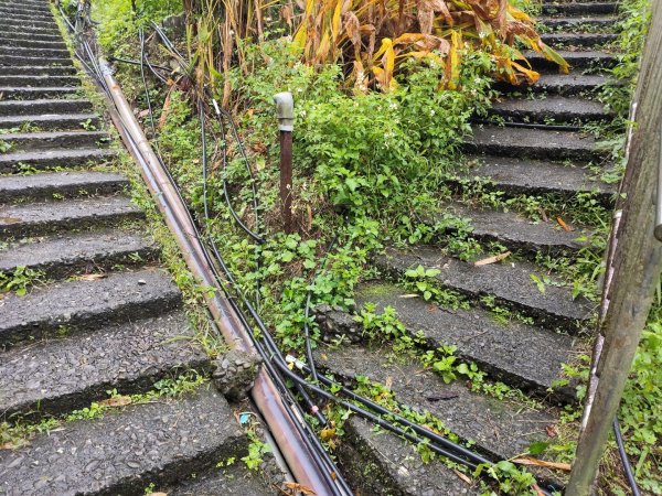 微笑山線：【五分山系】菁桐煤礦段2954736