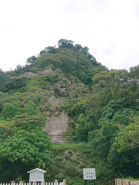 貴子坑親山步道1715217