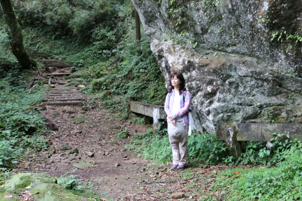 2015-06-06  奮起湖大凍山國家森林步道19594