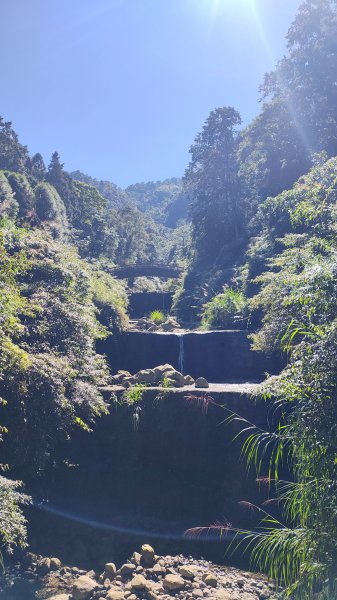 溪頭自然教育園區2938863