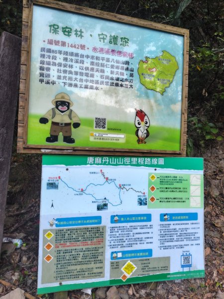 唐麻丹山 蝴蝶谷2918914