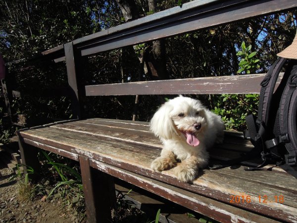 20161218_馬那邦山874334