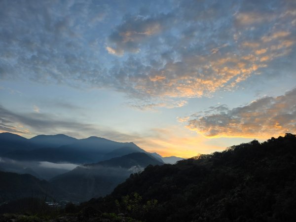 干卓萬山單座百岳驚見‘’萬大豹、水鹿大軍、圓月、雲海、藍天大景2632634