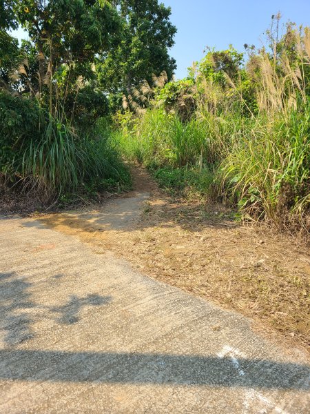 省議會後山步道2730894