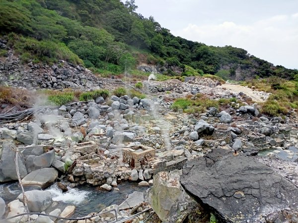 《龍飛鳳舞的龍鳳谷步道》1447220