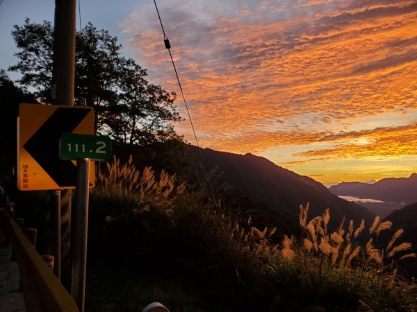 中橫大辣－屏風山1507788