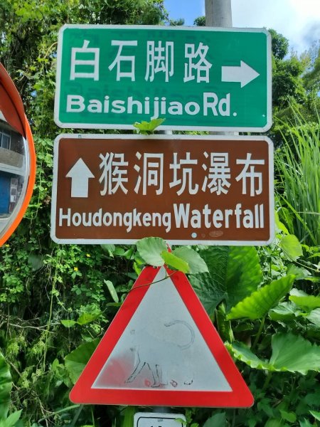 1131017猴洞坑溪步道