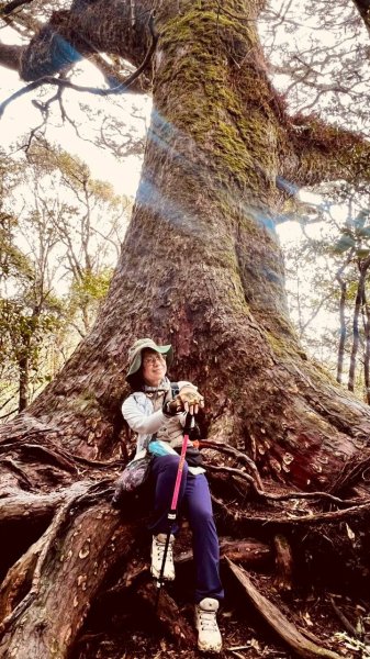 🌈4/13（日）（三）魔法森林-塔曼山~FB：熊熊趴爬走🌈2761328