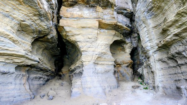 鼻頭角祕境2910613