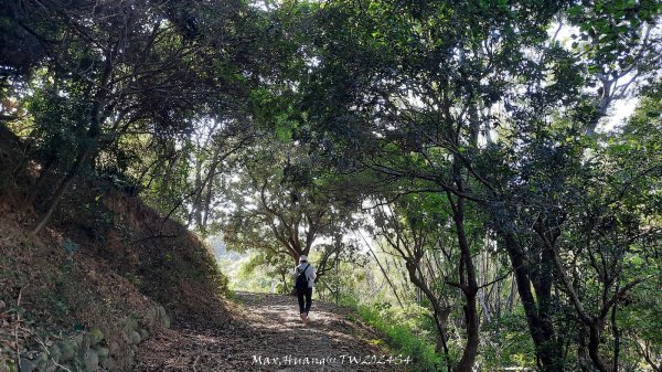 《彰化》卦山少林｜花壇西來園（銀行山）登山步道202412012657894