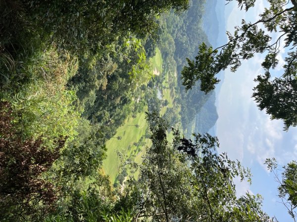 20231102_關西赤柯山（森遊竹縣）2762960