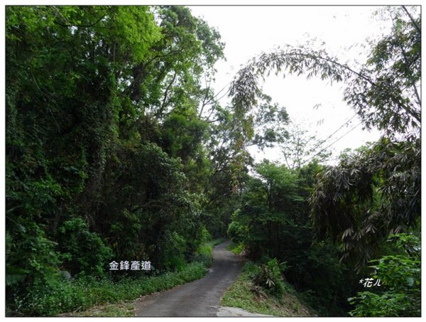 打鐵坑山、打鐵坑山北峰 (台中、和平)1674674