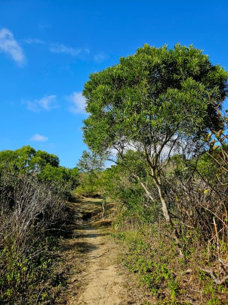 大山母山-小百岳#81-屏東縣恆春鎮2731509