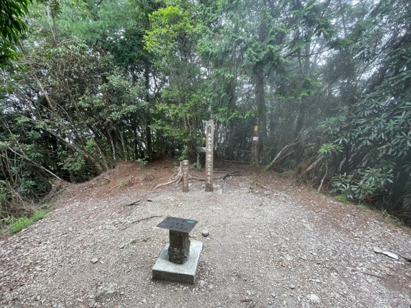 谷關七雄 《 馬崙山 》2025 09/062879779