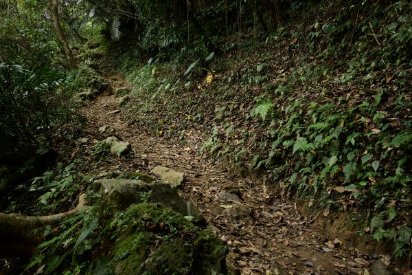 兩日立霧山觀景台(日出行程)2114807