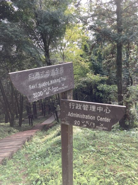 【桃園-百大必訪步道】 東眼山自導式步道1305799