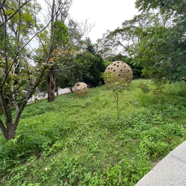 20231024_新竹飛龍健行步道（森遊竹縣）2762923