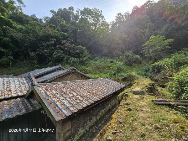 2026-04-11微笑山線：【二格山系】筆架連峰段3034556