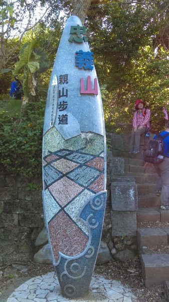 【臺北大縱走1】八爪魚般的樹根步道忠義山800853